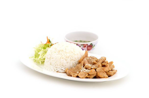 Coreano Marinated Pork Rice isolato su sfondo bianco
 - Foto, immagini