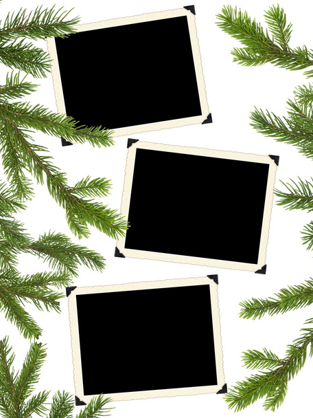 Retro photo framework and Christmas tree - Photo, Image
