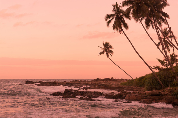 Pink sunset Rocky Point - Valokuva, kuva