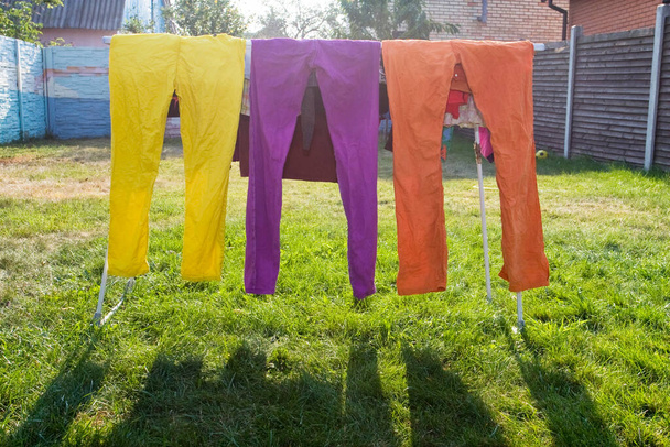 jeans secos, jeans coloridos secándose al aire libre al sol, empresa de limpieza - Foto, Imagen