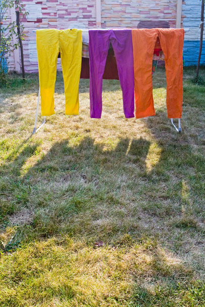 jeans secos, jeans coloridos secando fora ao sol, empresa de limpeza - Foto, Imagem