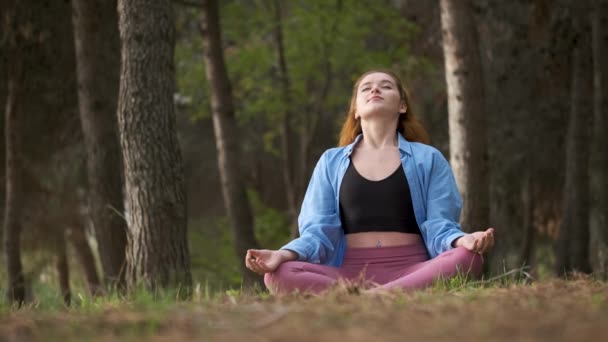 Een roodharige jonge vrouw die mediteert in een bos. Meditatie in de natuur. - Video