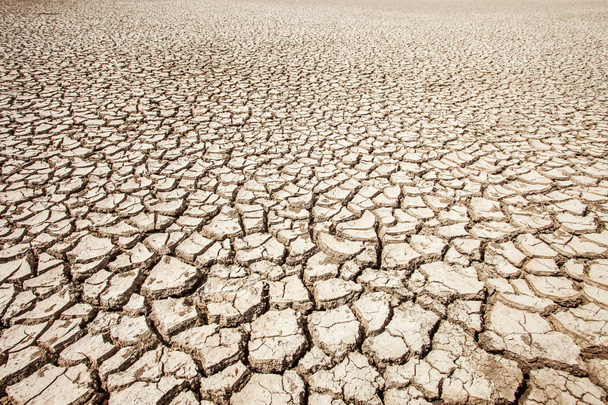 Разрушение почвы в жаркий летний сезон
 - Фото, изображение
