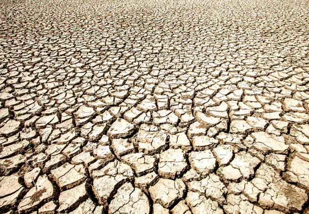 Разрушение почвы в жаркий летний сезон
 - Фото, изображение
