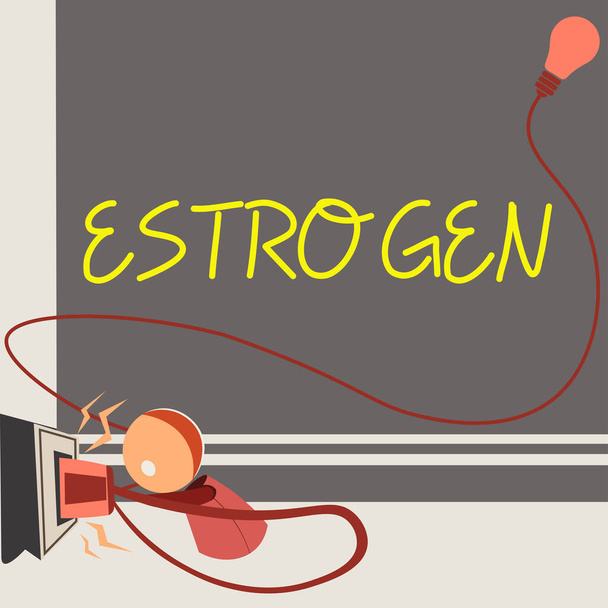 Escrita exibindo texto Estrogênio, vitrine de negócios Grupo de hormônios promover o desenvolvimento de características femininas - Foto, Imagem