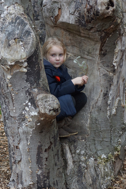 junges Mädchen auf Baum - Foto, Bild