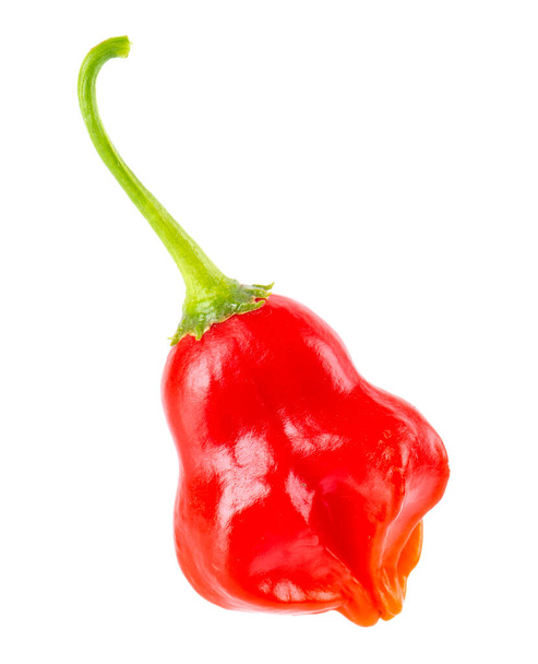 Ripe red chili pepper isolated on a white background. Capsicum baccatum or Bishop's crown pepper - Photo, Image