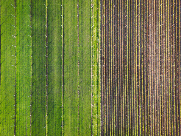Вид с воздуха на сельскохозяйственные поля в сельской местности Словении в солнечный день.  - Фото, изображение