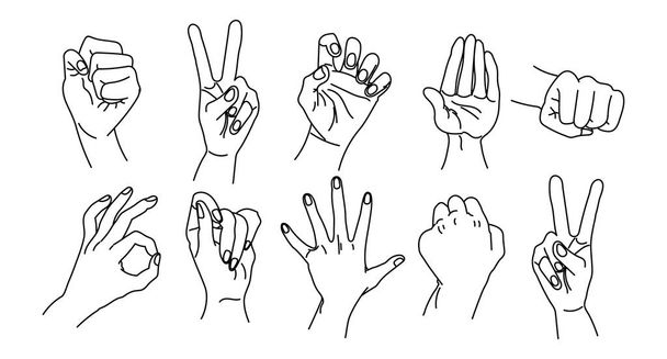 Serie di contorni disegnati di mani umane. Set di mani in una raccolta di vari gesti, illustrazione vettoriale nello stile di un semplice schizzo di scarabocchio lineare - Vettoriali, immagini