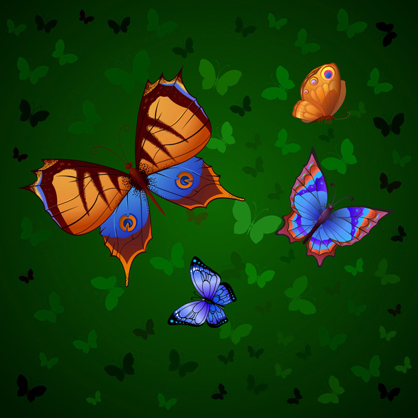 Voando borboletas brilhantes
 - Vetor, Imagem