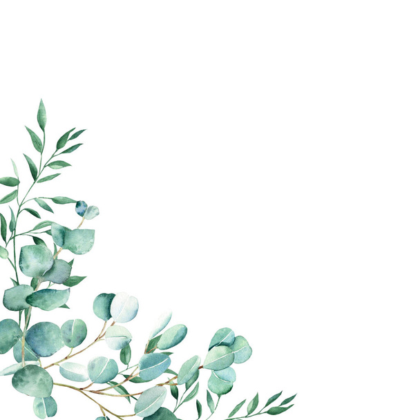 水彩画、ユーカリ、ピスタチオの枝。素朴な緑。白地に描かれた手描きの植物イラスト。文房具、招待状、日付を保存するための理想的な結婚式 - 写真・画像