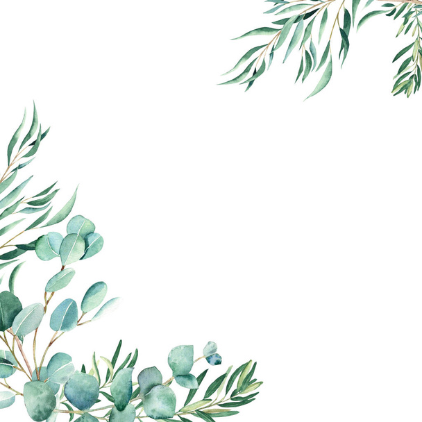 水彩画、ユーカリやオリーブの枝。素朴な緑。白地に描かれた手描きの植物イラスト。文房具、招待状、保存日、結婚式、挨拶に最適 - 写真・画像