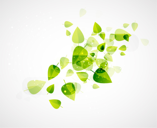 Abstract leaves. Nature vector background - Vector, Image