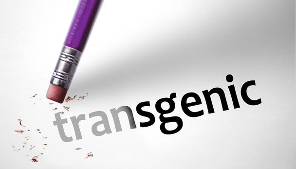 Silgi Transgenic sözcüğü silme - Fotoğraf, Görsel