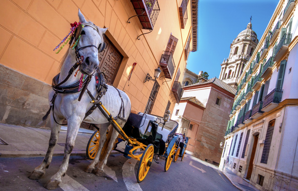 Koně a kočár v ulicích města v Malaga, Španělsko  - Fotografie, Obrázek