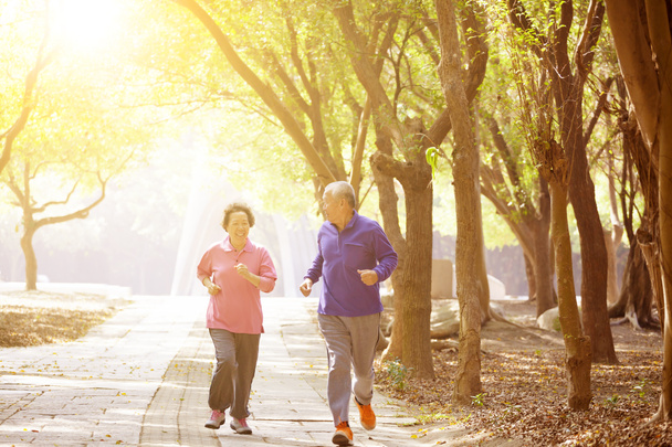 happy asian Senior Couple Exercising In the Park - Photo, Image