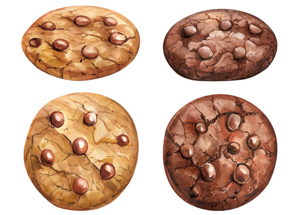 Chocolate chip cookie. Cookie chocolate on a white background, sweet watercolor illustration, hand drawing painting. High quality illustration - Photo, Image