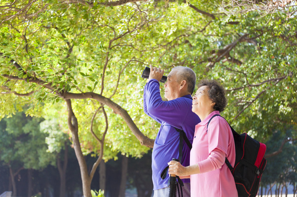 Šťastný asijské starší pár na dovolené - Fotografie, Obrázek