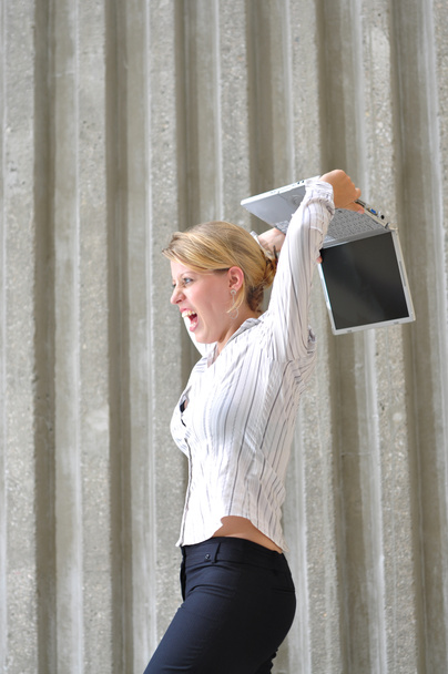 zakelijke vrouwelijke uitvoerende doorslaand laptop - Foto, afbeelding