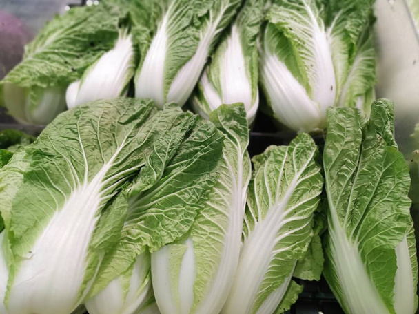 lots of the golden chinese cabbage - Photo, Image