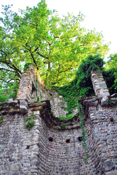 El Castillo Medieval en el Valentino
 - Foto, Imagen