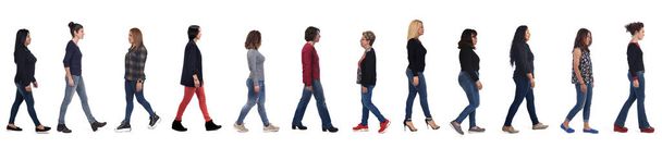 side view of group of women with jeans walk on white background - Photo, Image
