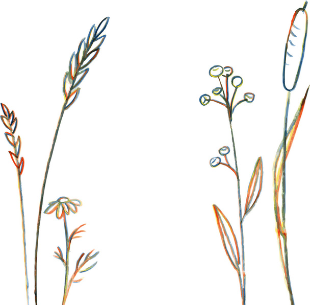 Line drawing flowers and grass - Vektori, kuva
