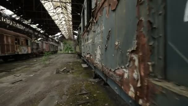 Cargo trains in old train depot glidecam footage - Materiał filmowy, wideo