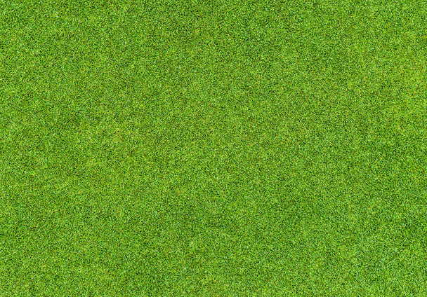 Magnifique motif d'herbe verte du terrain de golf
 - Photo, image