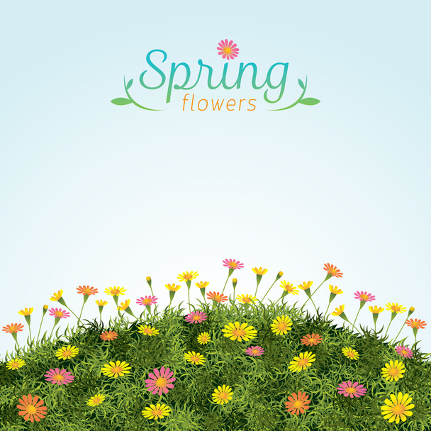 Flowers Spring Field Season Background - Vector, Image