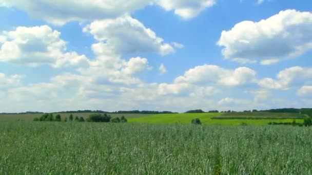 Rural landscape with  field and clouds. Time lapse - Footage, Video