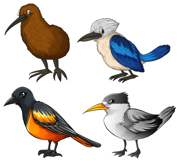 Birds - Vector, Image