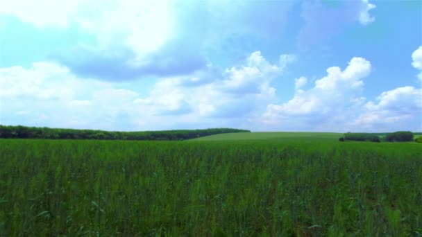 Paisaje rural con nubes. Time lapse Sin pájaros
 - Metraje, vídeo