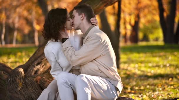 Una pareja romántica en un parque de otoño. Besándonos el uno al otro. Atmósfera otoñal, árboles amarillentos y hojas alrededor. Movimiento lento - Metraje, vídeo