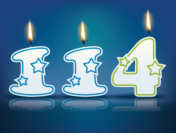 Birthday candle number 114 - Vector, Image