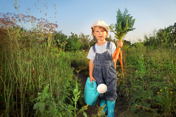 boy with a carrot and a watering can - Фото, изображение