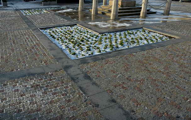 ornamental flower beds on a regular floor plan in the middle of a square made of granite paving. L shaped flower beds with dry ornamental grasses and lots of colorful flowers Easter decorations - Foto, Imagen