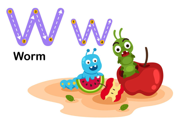 Letra del alfabeto W-gusano con ilustración de vocabulario de dibujos animados, vector - Vector, Imagen