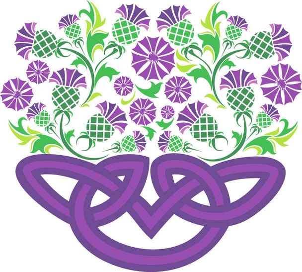 Celtic knot in the form of a basket with flowers thistle - Vector, Image