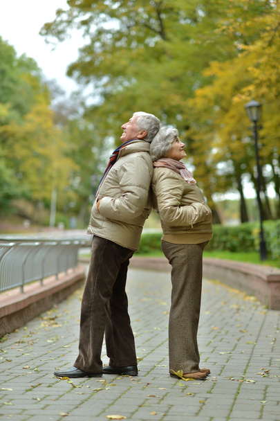 Senior couple in autumn park - Zdjęcie, obraz