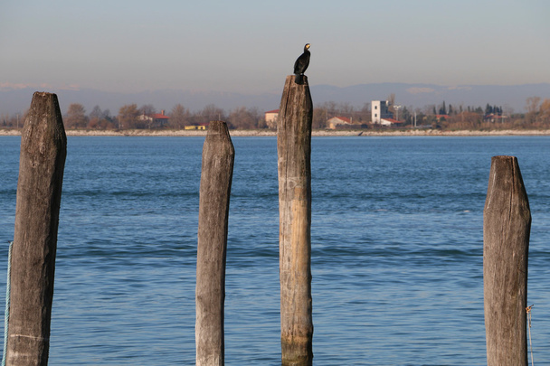 Scorcio della laguna di Venezia - Photo, Image