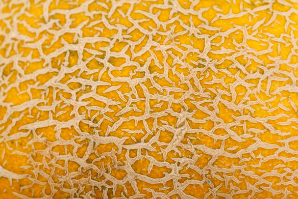 Yellow melon - Fotoğraf, Görsel