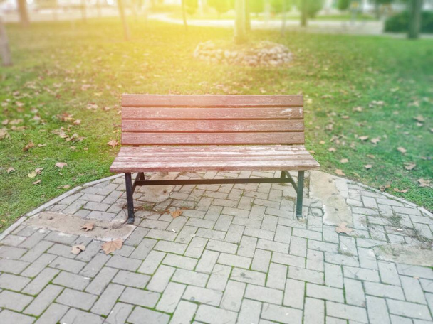 An empty bench under the special light. - Photo, Image