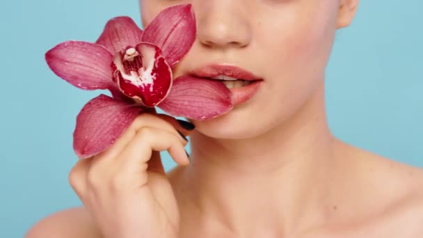 Woman, beauty and pink orchid flower for natural beauty, healthy skincare and floral cosmetics, perfume and aesthetics on blue background. Model face, mouth and plants in studio for luxury self care. - Footage, Video