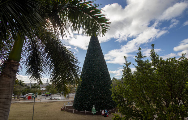 Delray Beach, Florida, ABD 'deki 30 metrelik muhteşem Noel Ağacı. - Fotoğraf, Görsel