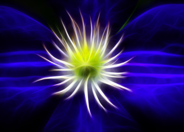 Fialový květ - Fotografie, Obrázek