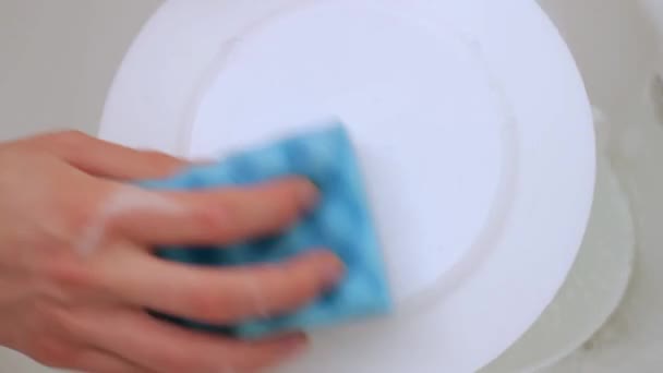 Wash white plate - Кадры, видео