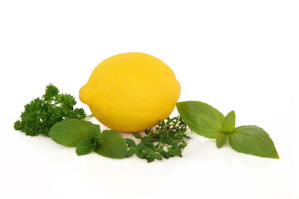 Frutas y hierbas de limón
 - Foto, Imagen
