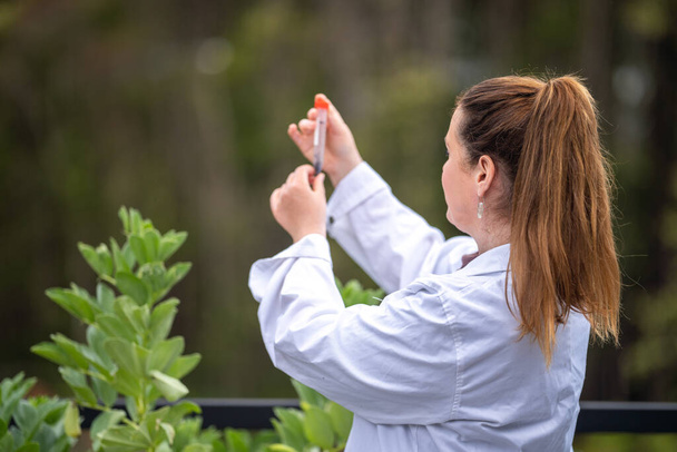 kobiecy naukowiec studiujący badania rolnicze. Kobieta hodująca trawę i rośliny w fartuchu laboratoryjnym. zbieranie rury badawczej do smarowania gleby w Australii - Zdjęcie, obraz