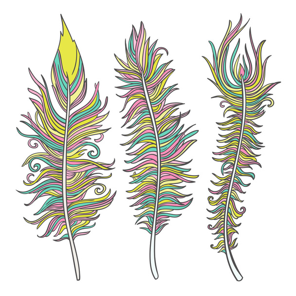 Vector feather set - Vector, Image